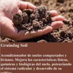 Gruindag Soil