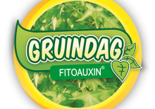 Fitoauxin
