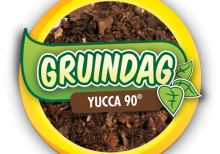 Yucca 90