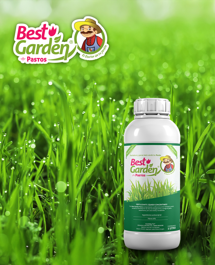 BND_Gruindag_SW2026-ProductosInnovadores-Interior-BestGarden-Pasto_v1-0