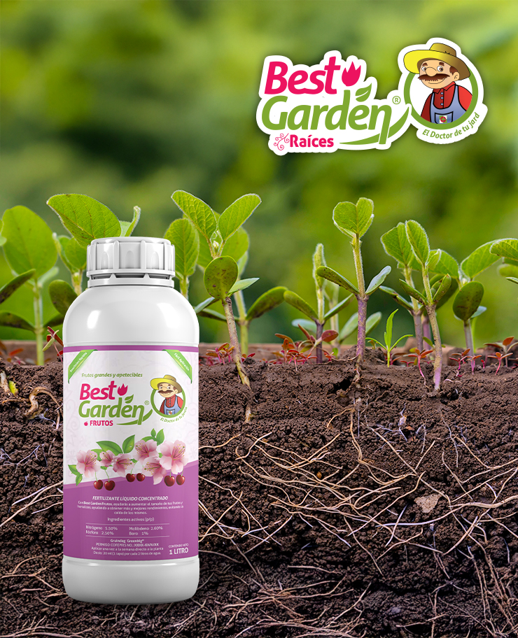 BND_Gruindag_SW2026-ProductosInnovadores-Interior-BestGarden-Raices_v1-0