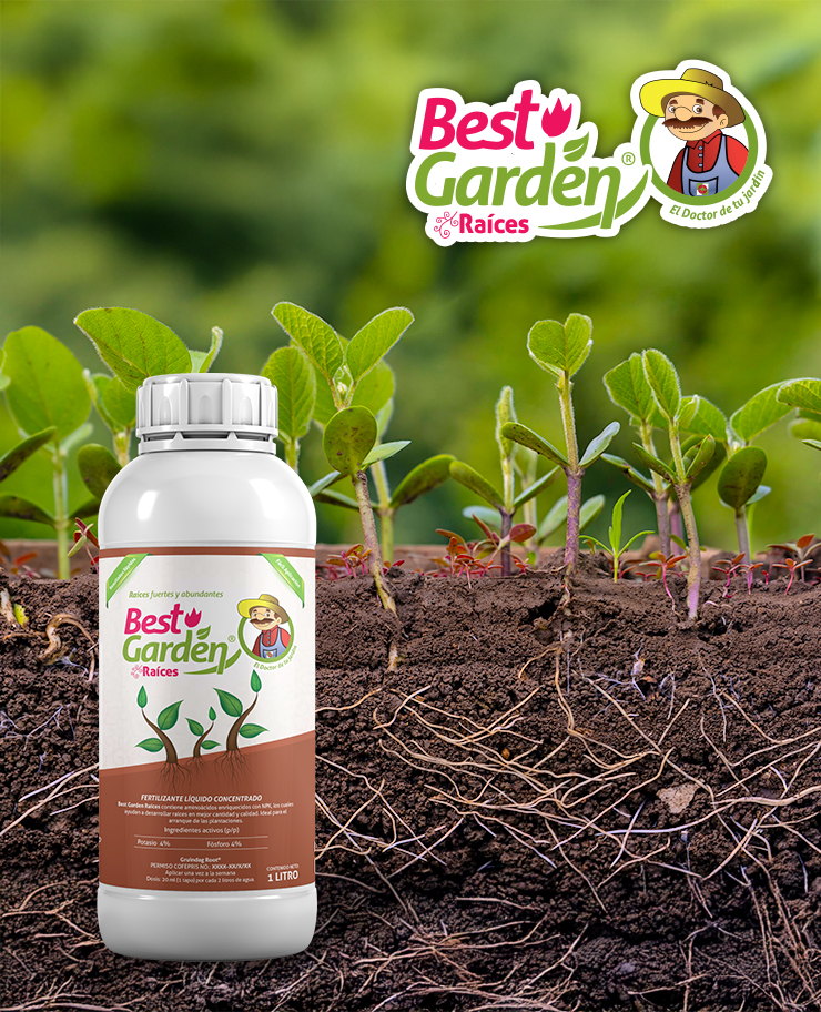 BND_Gruindag_SW2026-ProductosInnovadores-Interior-BestGarden-Raices_v2-0 (1)