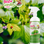 Insecticida Orgánico
