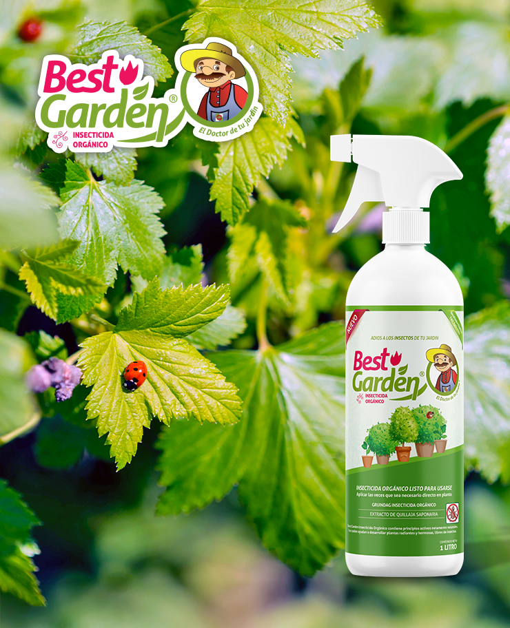 BND_Gruindag_SW2026-ProductosInnovadores-Interior-Insecticida_v1-0